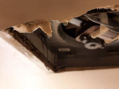 Professional water damage restoration services in Orono - Water Damage Restoration Orono